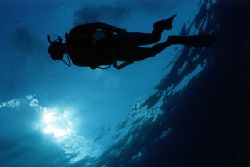 Diver is showing good technique in this silhouette. Taken... by Matthew Shanley 